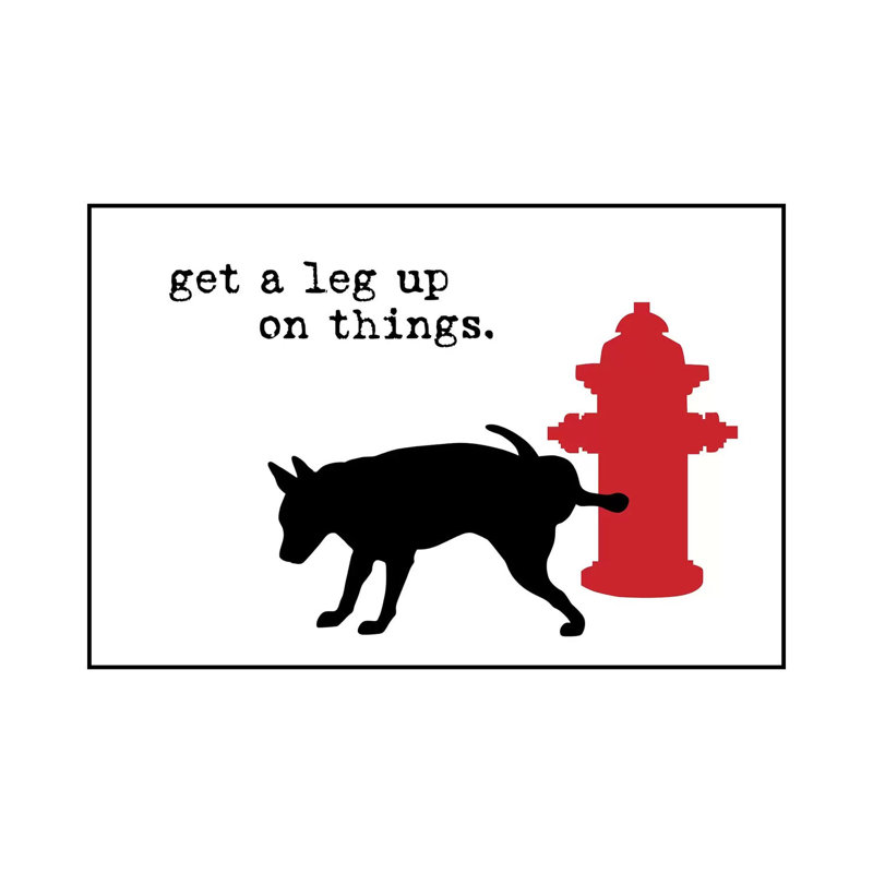 Leg Up On White by Dog Is Good And Cat Is Good - Wrapped Canvas Print, 20.32 cm H x 30.48 cm W