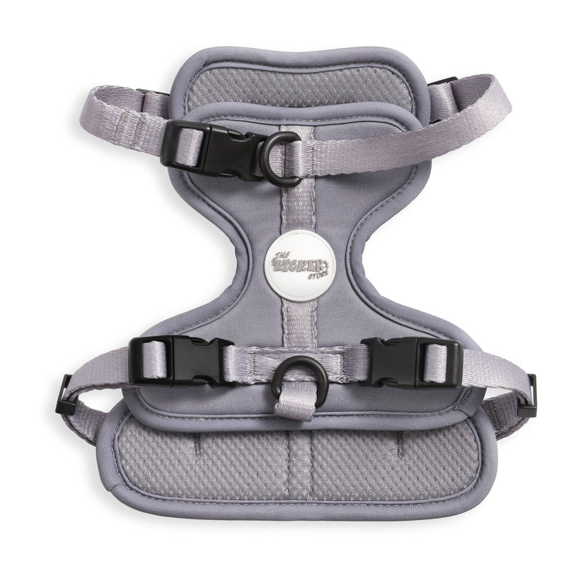 Harnais pour animal de compagnie Arlo, Gris