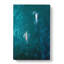 Dolphins Heading North by Pierre-Joseph Redoute - Wrapped Canvas Painting-55342747