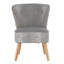 Aaeden Upholstered Accent Chair-1693722528