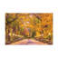 No Frame Print on Canvas-561699501