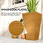 Jardinières en pot-428178296