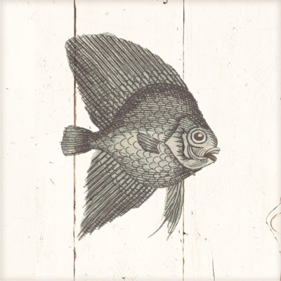 Fish Sketches III Shiplap 1 Piece Wrapped Canvas Wall Art