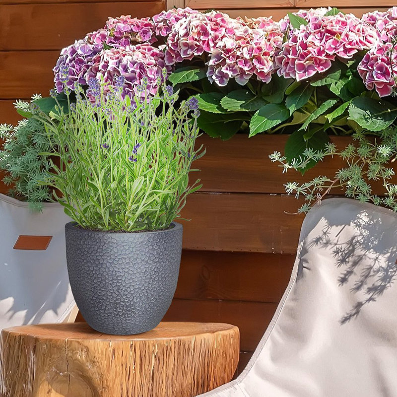 Concrete Effect Round Planter, Frostproof Outdoor Plant Pot with Hammered Pattern, Round Garden Planter with Drainage Holes
