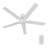 52" Smart Ceiling Fan with Light-88561898-88561899