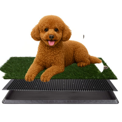 Artificial Grass Puppy Pad with Tray 16x20 inch | Reusable Indoor & Outdoor Dog Potty Training Mat System | Washable Fake Grass Pet Housebreaking Pad for Puppies & Small to Medium Dogs by PETMAKER