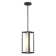 Outdoor Pendant