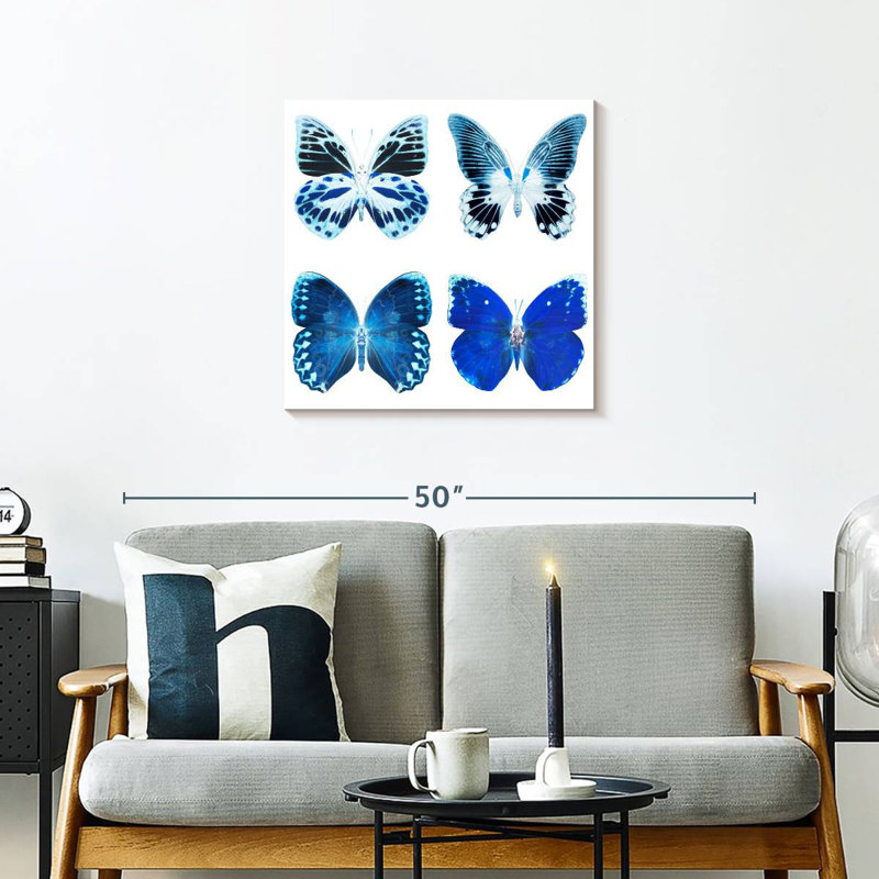 Radiographie de Brampt Miss Butterfly - bleu, H 24 po x l 24 po