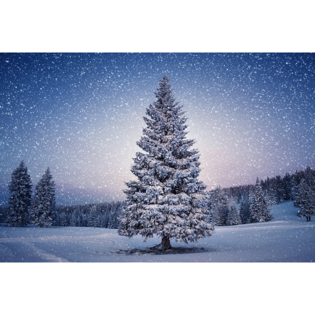 Winterbaum von Borchee - Druck auf Leinwand ohne Rahmen