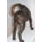 Neasa Hound Dog Statue