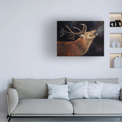 Art sur toile David Stribble
