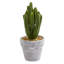 Ensemble de cactus artificiel en pot 3 pièces