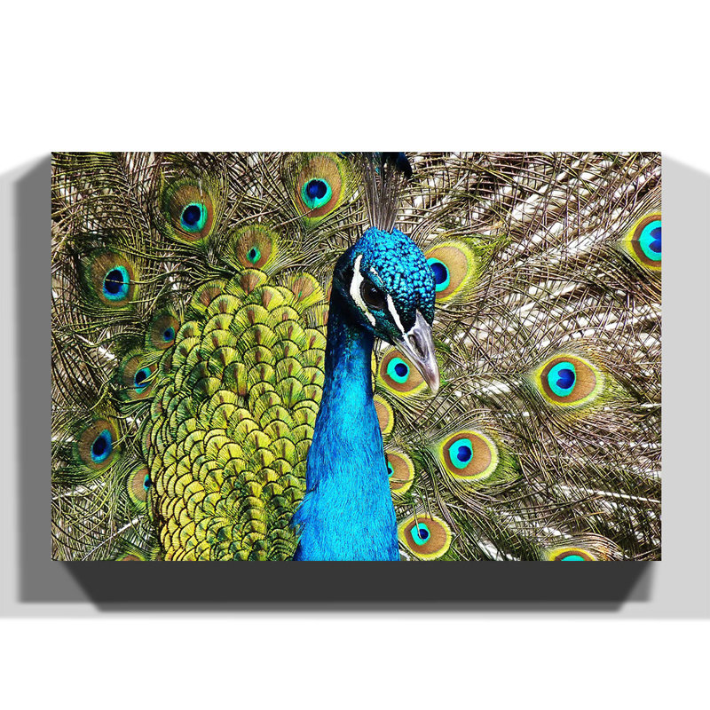 Wrapped Canvas Painting, 40cm H x 60cm W