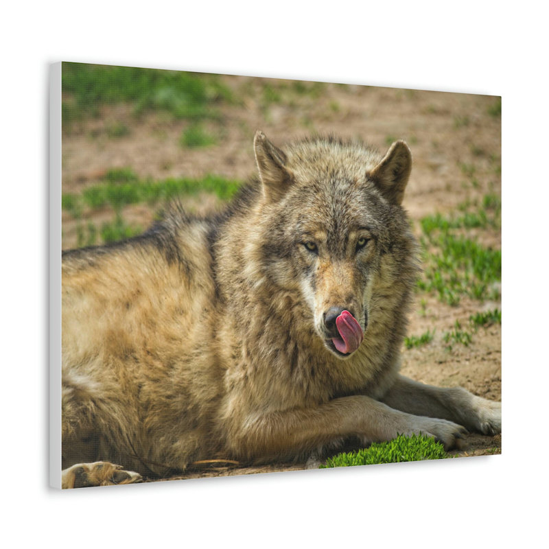 No Frame Print on Canvas, 12cm H x 16cm W