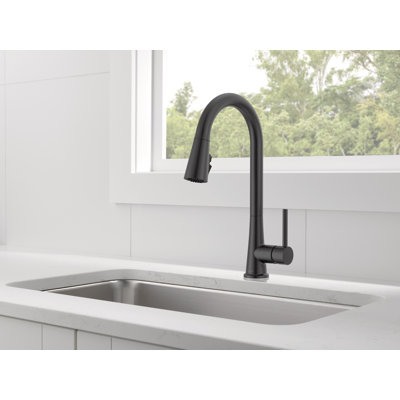 Robinet de cuisine à poignée simple avec Powerinse Precept