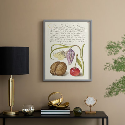 Hoefnagel Tropical Specimens IX Framed Print - Solid Wood