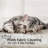 Cat Scratching Post-553346734