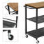 Alissah Metal Bar Cart