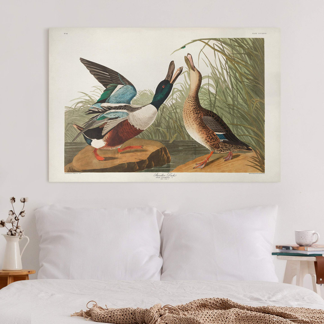 Leinwandbild Vintage Wall Ducks II