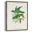 Lime&CeruleanParrotsII Framed Print - Solid Wood-470211400