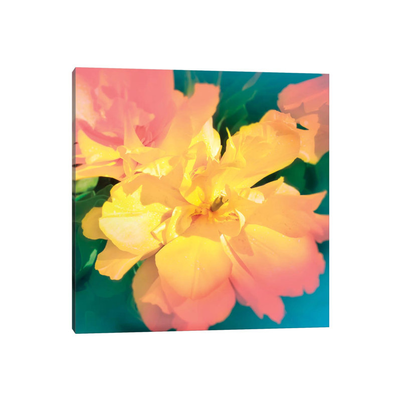 Electric Flower by Beli - Wrapped Canvas Print, 66.04 cm H x 66.04 cm W x 1.91 cm D