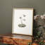 «Vintage Floral Print XVIII», impression encadrée sur papier-1815478855-1815478852