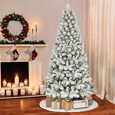 Green Pine Pine Christmas Tree