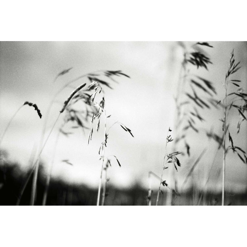 Windy Wheat Fields I, H 24 po x l 36 po