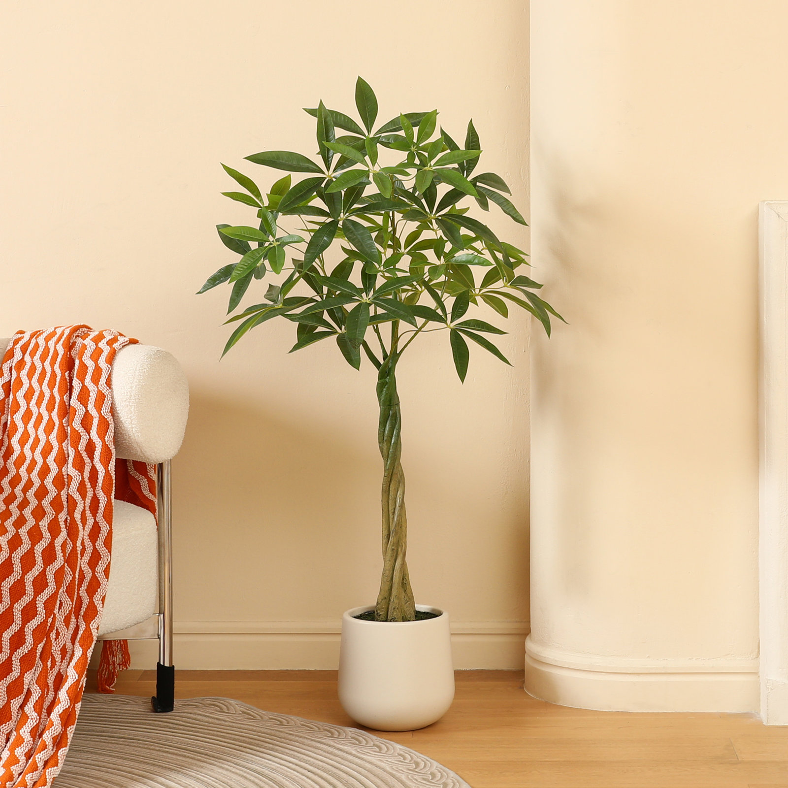 Anden Money Tree in Pot, 48" H x 46" W x 46" D
