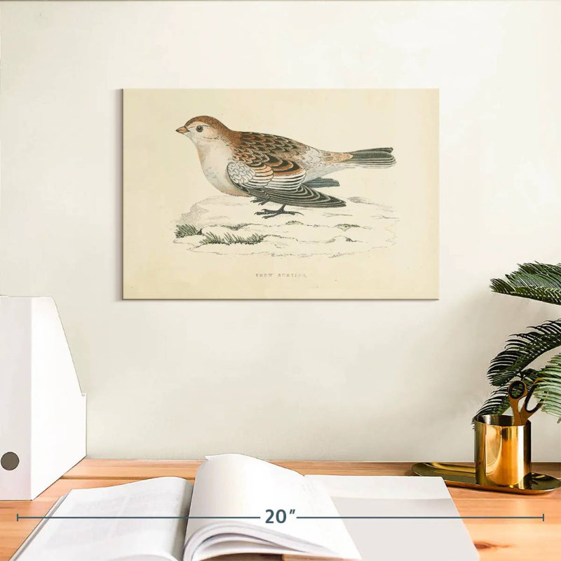 Crowle Snow Bunting Print