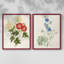 «Flowers of the Seasons I», reproduction encadrée de qualité supérieure - prête à être accrochée - aucun clou requis - aucun clou requis-1810837520-1810837517