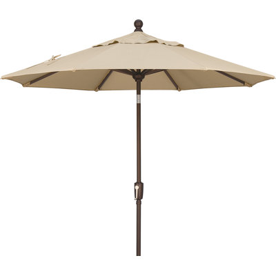 Launceston Market Umbrella