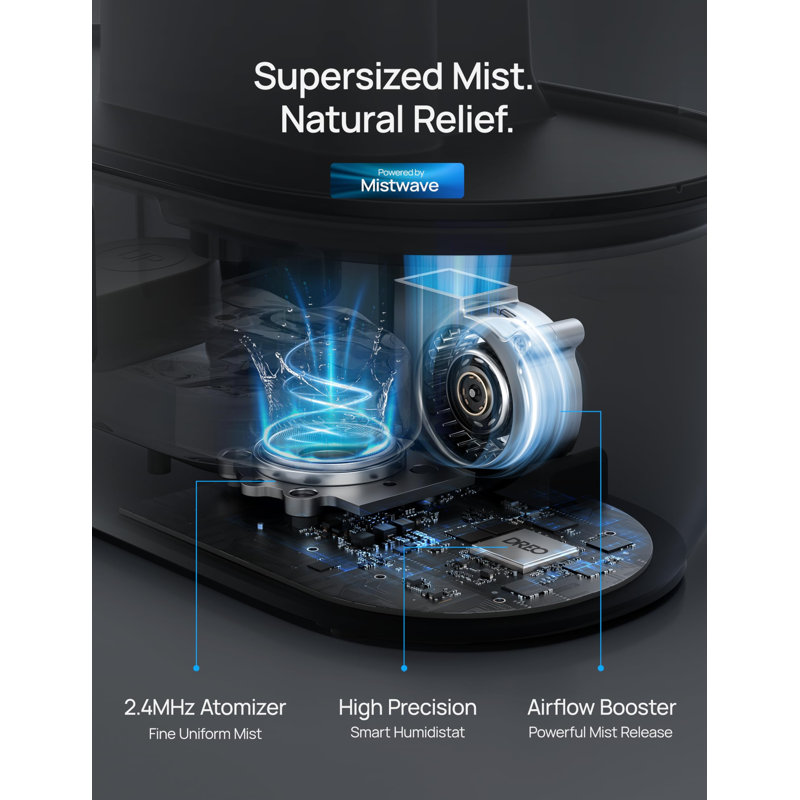 Smart Black and Clear Ultrasonic Humidifier with App Control