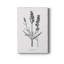 Simplement lavande - impression sur toile tendue-908116411