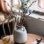 Tige de graines d'eucalyptus rustique-758666843-758666842