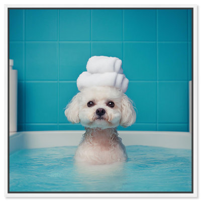 «Fluff in the Tub Canvas» par Art Remedy