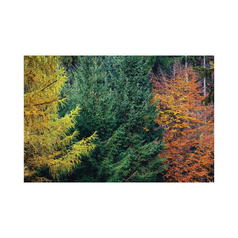 Autumn Colors 1 Piece Wall Art on Canvas, 101.6 cm H x 66.04 cm W x 1.91 cm D, Wrapped Canvas