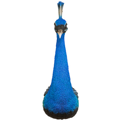 Prized Peacock Trophy Wall Sculpture