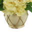 Lush Peonies in Pot
