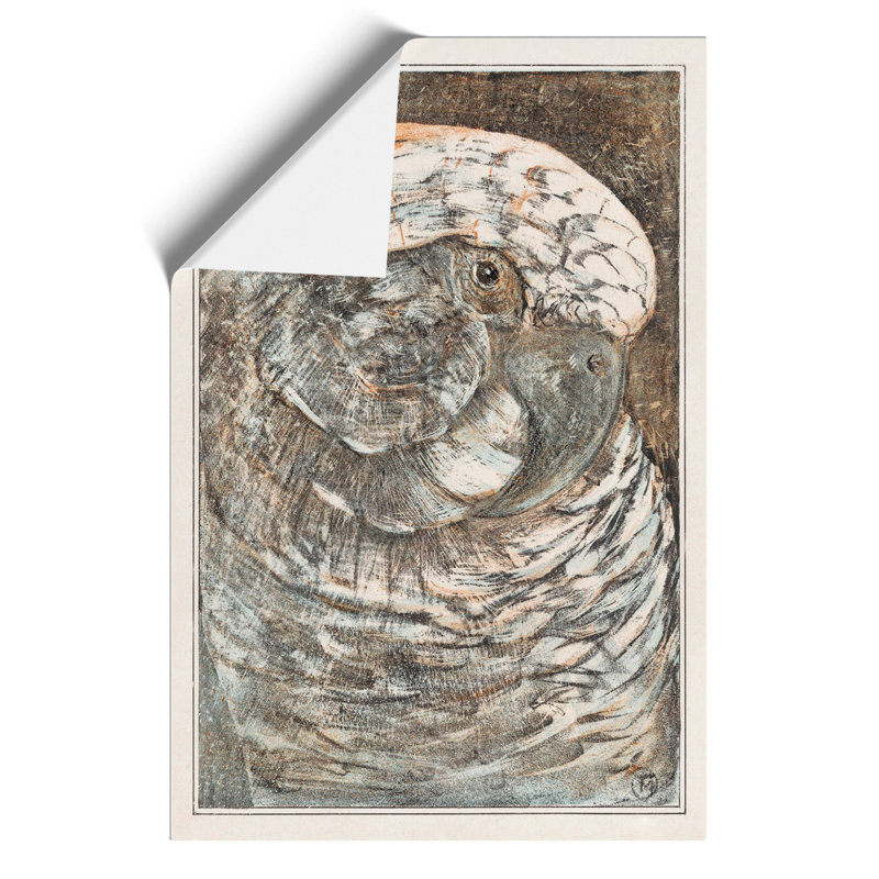 Head Of A Parrot - No Frame Print, 59cm H x 42cm W x 0.1cm D