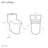 Daxton One-Piece Elongated Dual-Flush Toilet 1.1/1.6 gpf