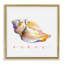 «Conch Shell Renew» par John Keeling-927649029-927649024