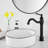 Single-handle Bathroom Faucet with Drain Assembly-70993639