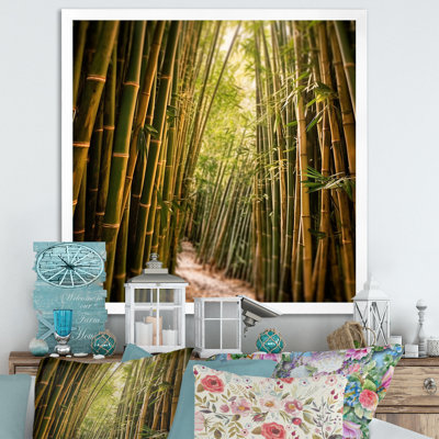 " Bamboo Field Landscape "