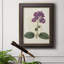 Toile encadrée de qualité supérieure Antique Botanical Collection V - prête à être accrochée-814316124