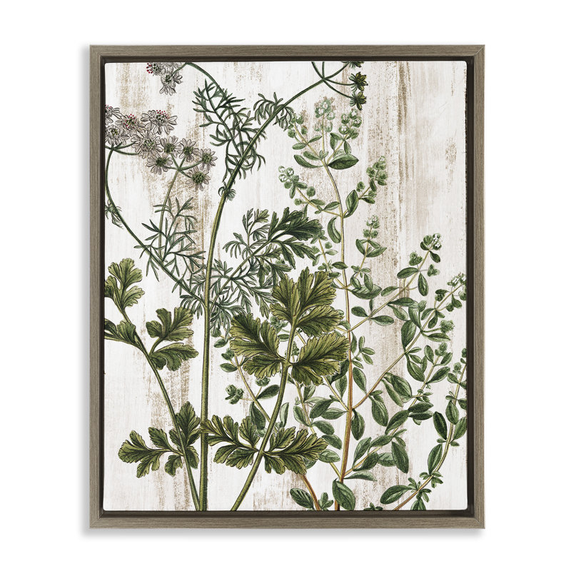 "Botanical Greenery", art mural encadré sur toile flottante par Kim Allen, Cadre flottant orme Montalcino, H 21 po x l 17 po