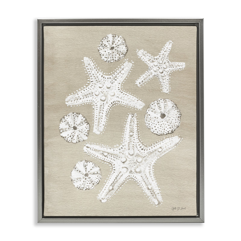 «Sandy Beach Treasures» par Candra Boggs, Cadre flottant gris lustré, H 21 po x l 17 po