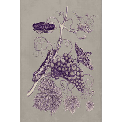 " Nature Study In Plum & Taupe III " by Maria S. Merian