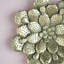 Plaque murale succulente