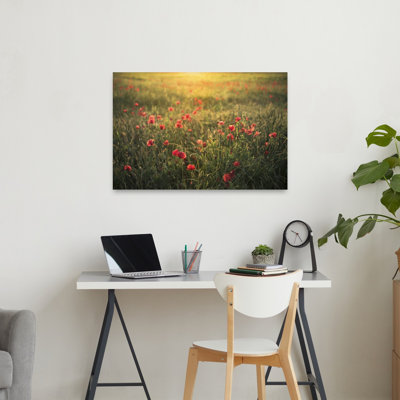 Poppy World III Abstract Contemporary Poppy Flower Landscape Wall Art Print